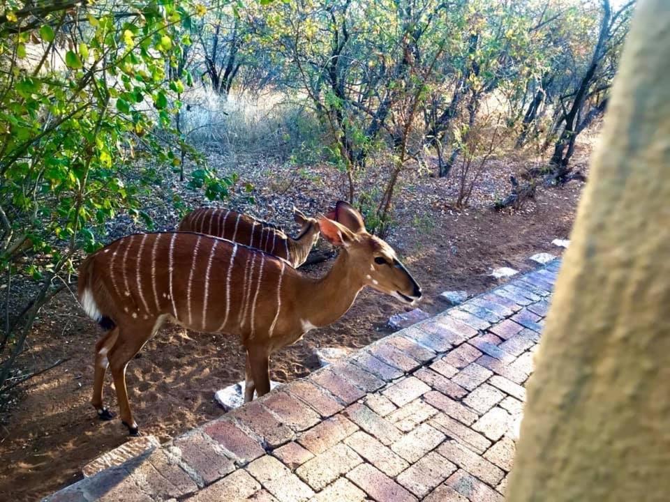 The Bush Hut Villa Hoedspruit Exterior photo