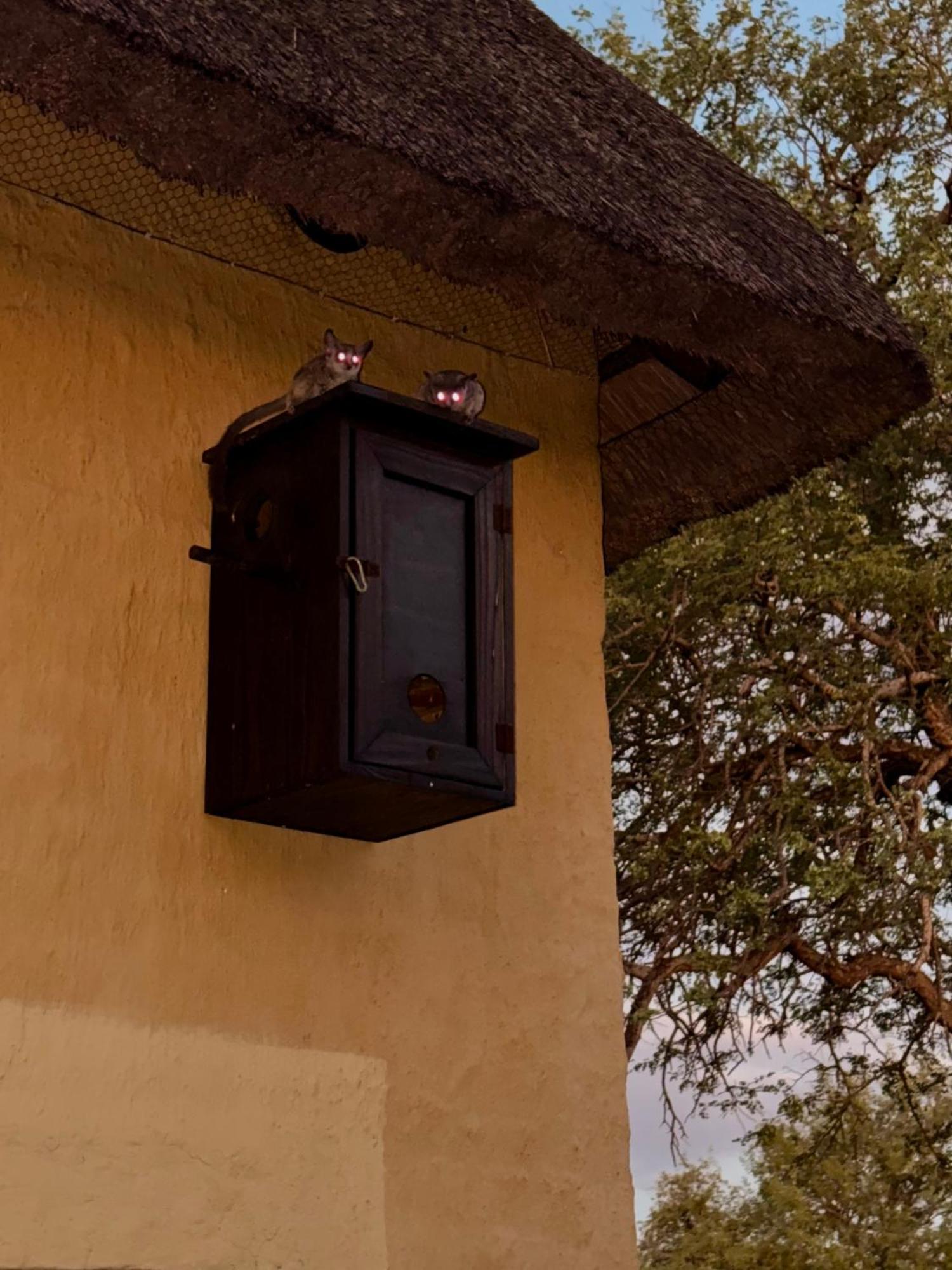 The Bush Hut Villa Hoedspruit Exterior photo